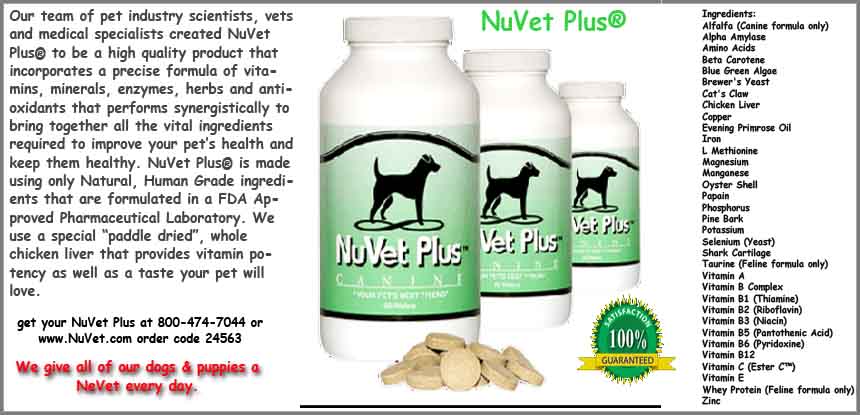 NuVet Dog Supplements
